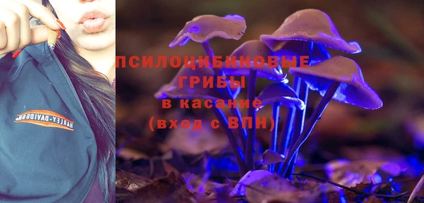 гашик Абинск