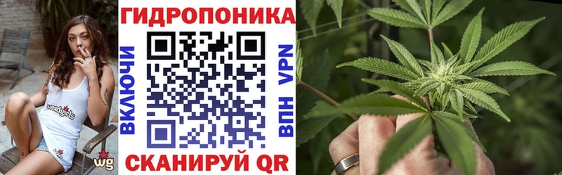 купить   Алдан  Канабис MAZAR 